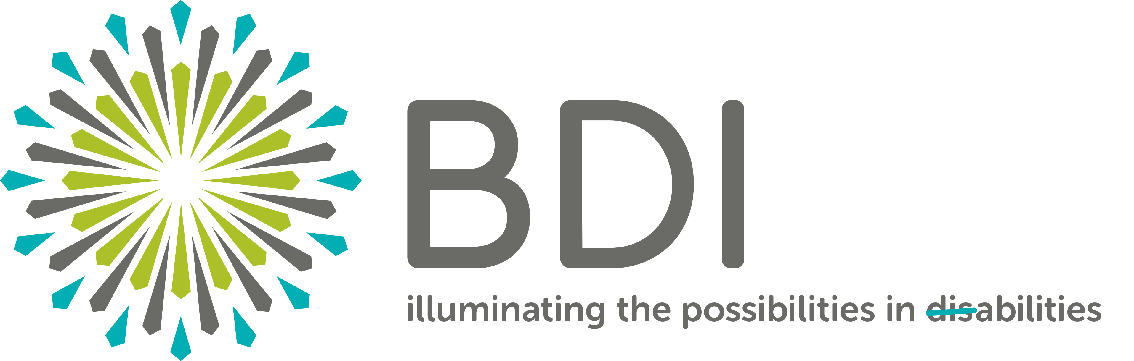 Bobby Dodd Institute Inc logo